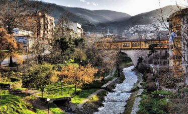 Green Bursa