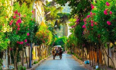 Princes Islands Tour
